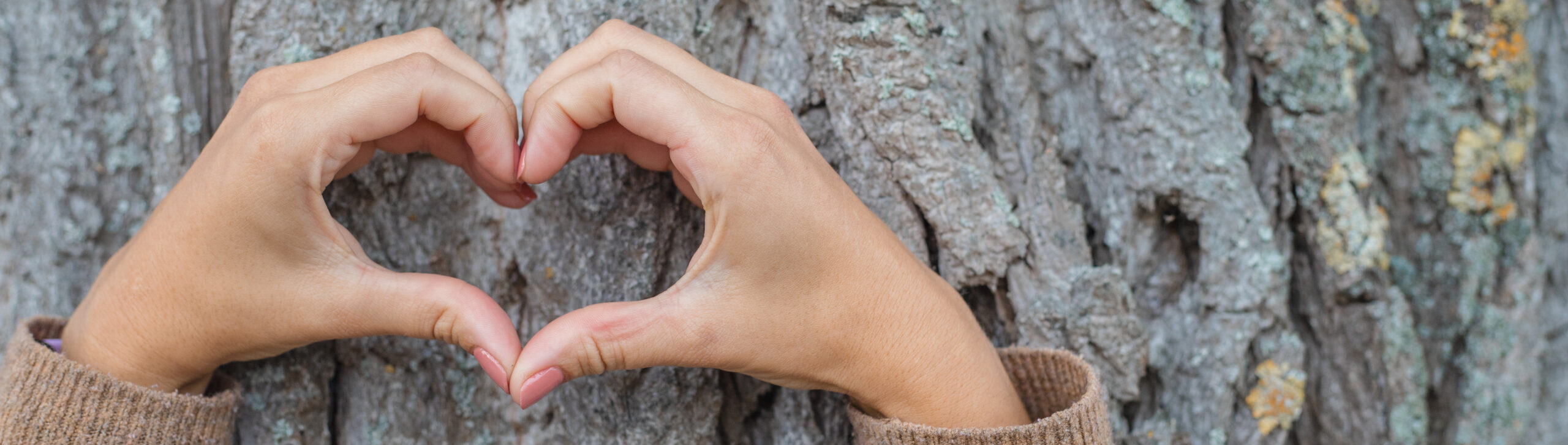 Heart Hands